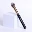 Wearified: Absolute Essentials Makeup Brushes - Set Of 6 for Face