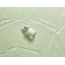 iUNIK: Tea Tree Relief Serum - 50ml