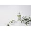 iUNIK: Tea Tree Relief Serum - 50ml