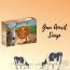 Shrida Naturals: Gauamrit Soap - 125gm