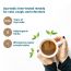 Wellbeing Nutrition: Grandma's Kadha - Ayurvedic Tea - 30 Tabs