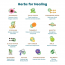 Wellbeing Nutrition: Grandma's Kadha - Ayurvedic Tea - 30 Tabs