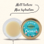 The Paradise Tree: Coconut Milk Lip Balm - 5gm