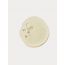 TES Beauty: Renourishing Night Serum - 30ml