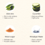 The Paradise Tree: Spring Time Sugar Soap - 100gm