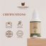 UPAKARMA: Ayurveda Tulsi Drops - 30ml