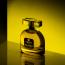 Carlton London: Women Desire EDP - 100ml