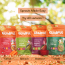 Gladful: Sprouted Moong, Amaranth & Lobia Cheela Dosa Mix - Assorted - Pack of 4 (200gm) each