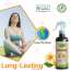EKAM ECO: Zerodor Care Multipurpose Natural Freshener Spray for Home, Car & Washroom - 400ml