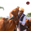 KUDEJ: Desi Gir Cow A2 Ghee - Pack of 2 (500ml each)
