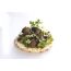 WiseCrack: Organic Rice Cakes - Flax Lovers & Super Seeds - Pack of 2 (125gm each)