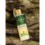 AFFOREST: Green Coffee Sun Protector  - 75gm