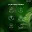AFFOREST: Green Coffee Sleeping Mask  - 50gm