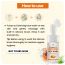 TNW - The Natural Wash: Papaya Foaming Face Wash-100ml