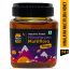 Honey Twigs: Himalayan Multi Flora Honey - 250gm