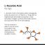 Minimalist: 8% L-Ascorbic Acid Lip Treatment Balm with Vitamin E, Radianskin & Gylcerine for pigmented & dark lips - 12gm