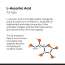 Minimalist: 8% L-Ascorbic Acid Lip Treatment Balm with Vitamin E, Radianskin & Gylcerine for pigmented & dark lips - 12gm