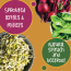 Gladful: Beetroot & Spinach Protein Sprouted lentils & millets Instant Chilla  Dosa Mix - 200 gm (Pack of 2)