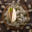 The Daily Nut Co.: Premium Pistachios - Pack of 2 - 200gm each