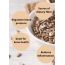 The Daily Nut Co.: Premium Sunflower Seeds - Pack of 2 - 250gm each
