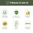 PureCult: Multi-use Fabric Refresher Fresh Green Tea 500ml - Pack of 2